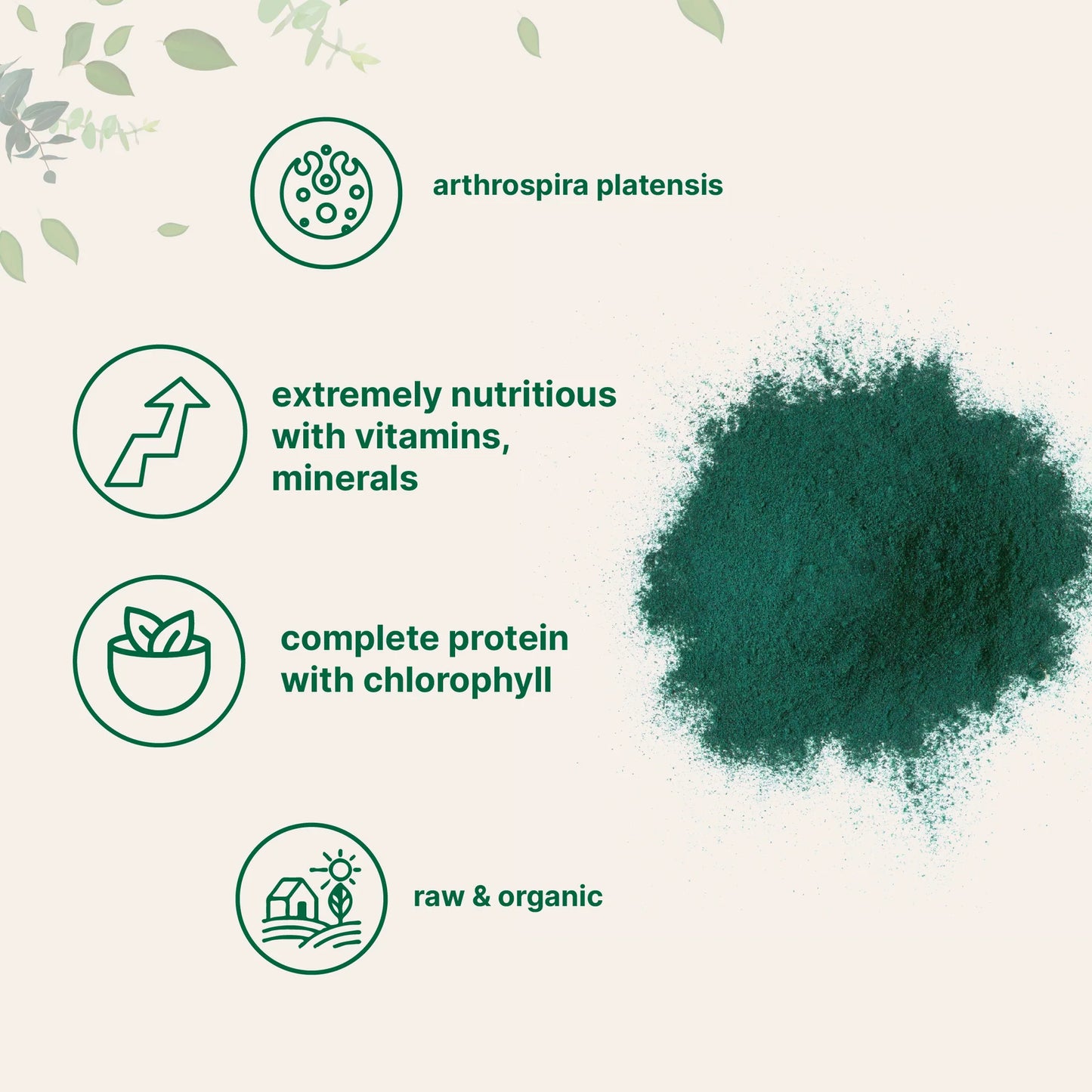 Espirulina Orgánica en Polvo rica en proteína vegana. Características generales: Nutritiva, con vitaminas y minerales, orgánica.