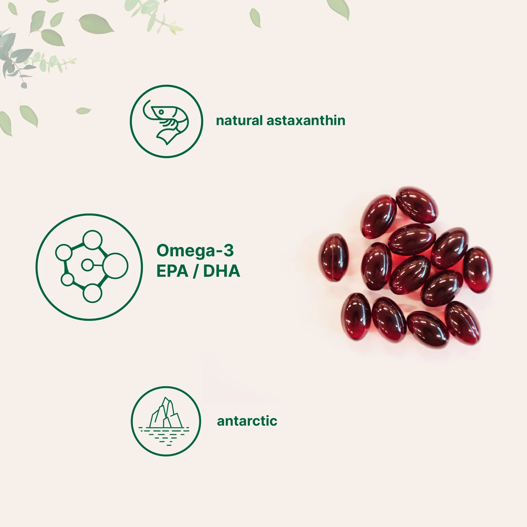 Aceite de krill antártico con omega 3. Características generales. Antártico, natural, rico en omega 3, EPA y DHA