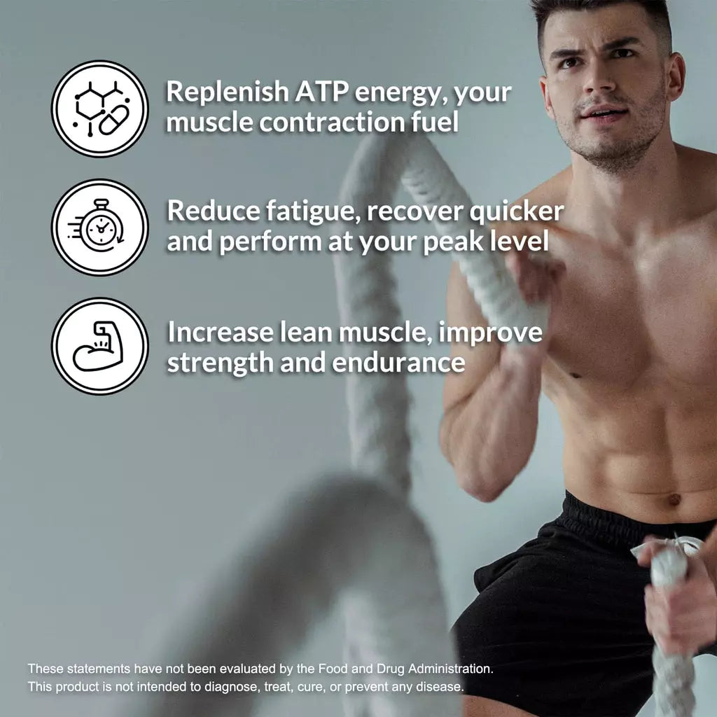 Beneficios de la Creatina Monohidratada: ATP, fatiga, rápida recuperación, incremento de masa muscular magra, mejora resistencia y fuerza