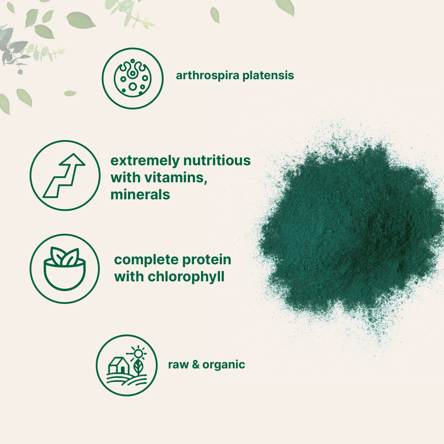 Espirulina Orgánica en Polvo rica en proteína vegana. Características generales: Nutritiva, con vitaminas y minerales, orgánica.